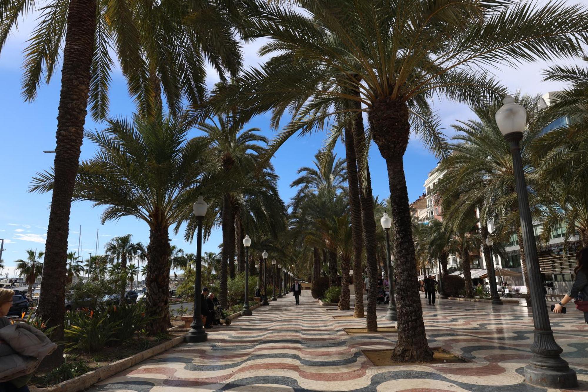 Alicantan Vital Experience Alicante Exteriér fotografie
